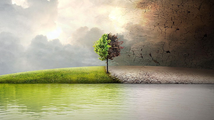 tree, opposite, lake, spiritual, change, clouds, life