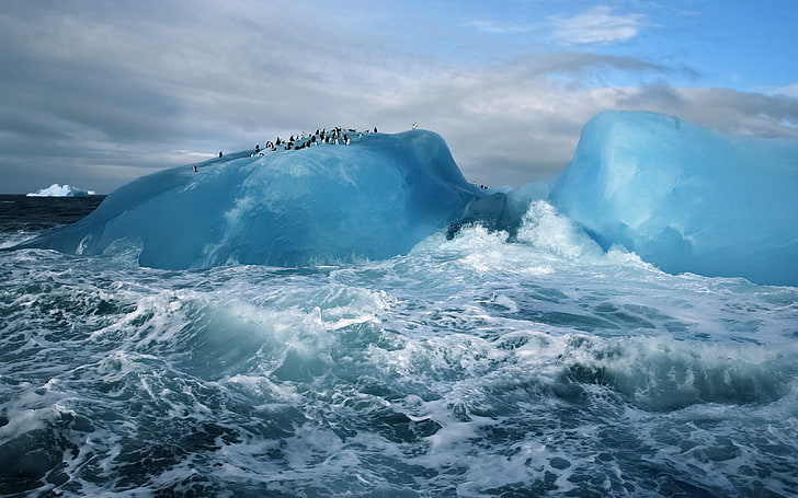 iceberg, antarctica, penguins, ocean, sea, nature, blue, iceberg - Ice Formation, HD wallpaper