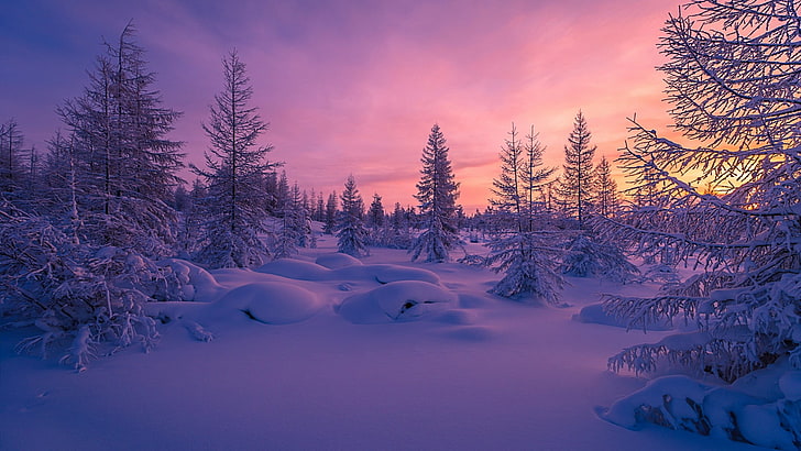 winter, sky, snow, nature, freezing, wilderness, atmosphere, HD wallpaper