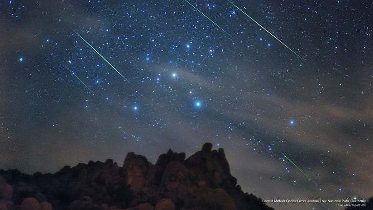 Leonid Meteor Shower Over Joshua Tree National Park, California, HD wallpaper