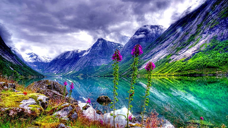 Natural Landscape River Valley Flowers Sky Mountain Picture For Desktop Hd Wallpaper  Pc Tablet Mobile 1920×1080
