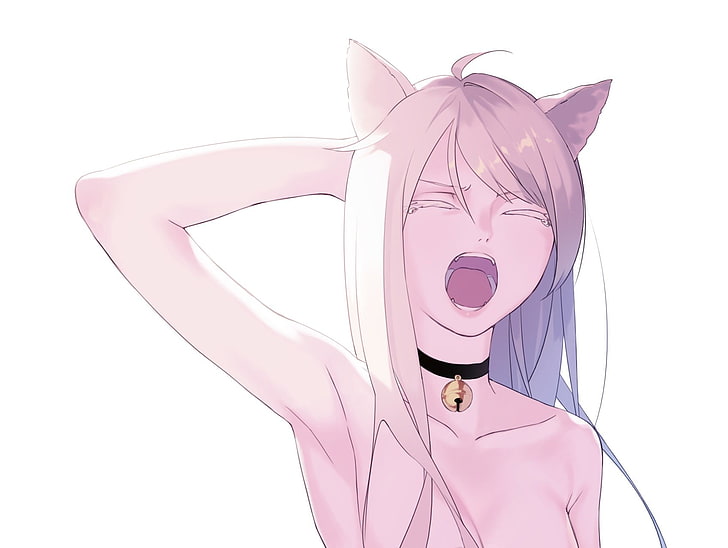gray-haired female anime character, anime girls, nekomimi, animal ears, HD wallpaper