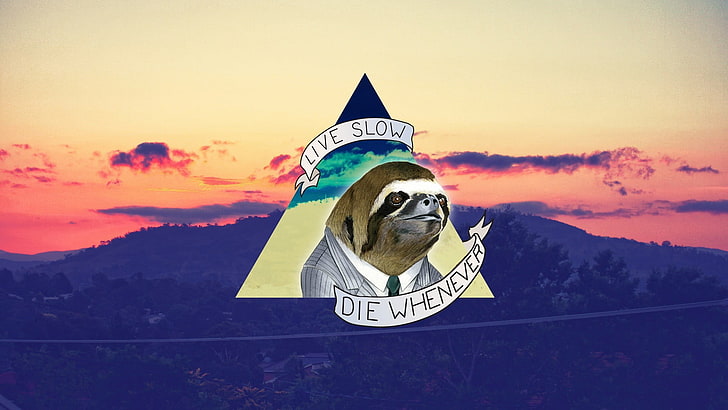 Live Slow Die Whenever wallpaper, simple background, sloths, nature