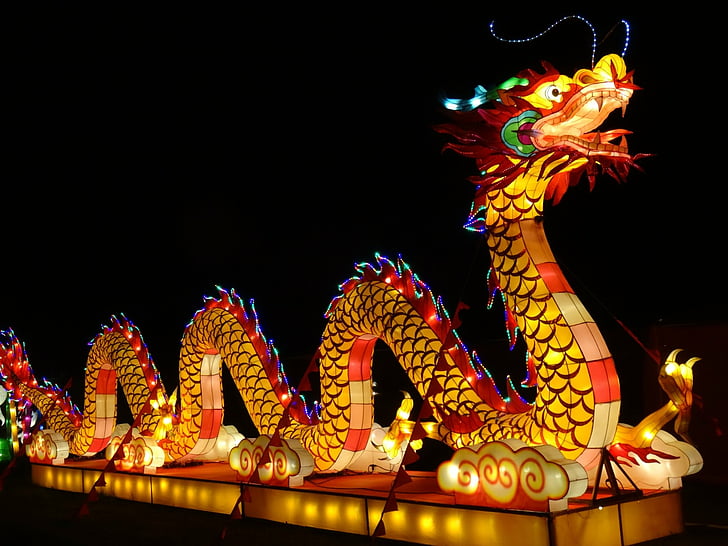 Holiday, Chinese New Year, Chinese Dragon, Colors, Light, HD wallpaper