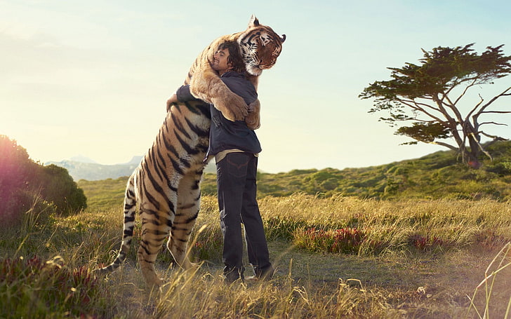 brown and black tiger, men, sunlight, animals, hugging, guys