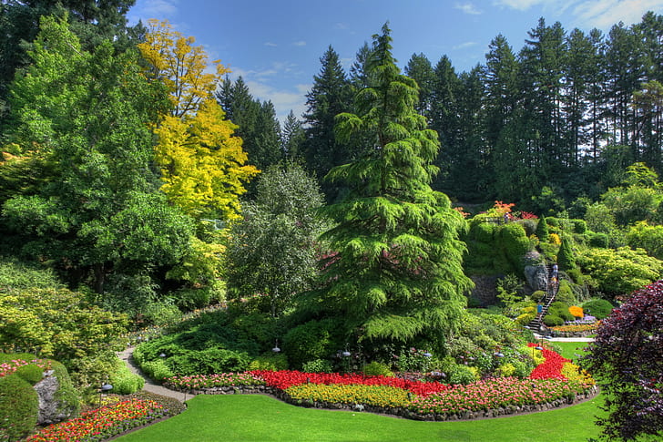 Canada, Butchart Gardens, Victoria, green and brown tree, trees, HD wallpaper