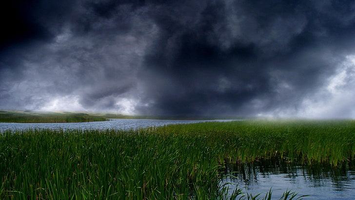 river, reeds, clouds, nature, sky, wetland, storm, cloud - sky