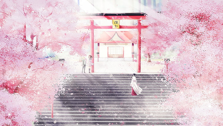cherry blossom, Noragami, cherry trees, Iki Hiyori, shrine, HD wallpaper