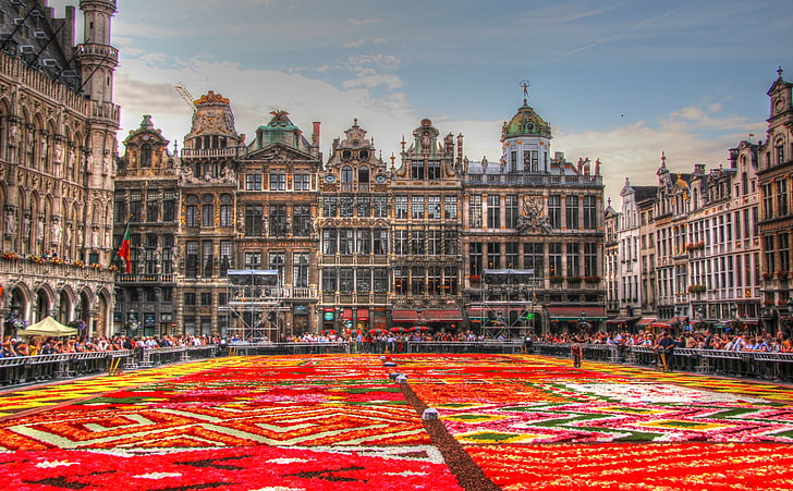 Flower Carpet - Grand Place - Brussels, Belgium, beige concrete building, HD wallpaper