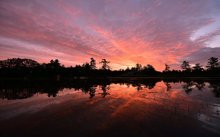 Canada, Ontario, lake, trees, evening sunset, water reflection, HD wallpaper