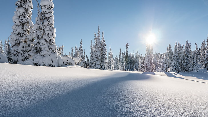 Winter, Strathcona Provincial Park, Snow, Mount Washington, HD wallpaper