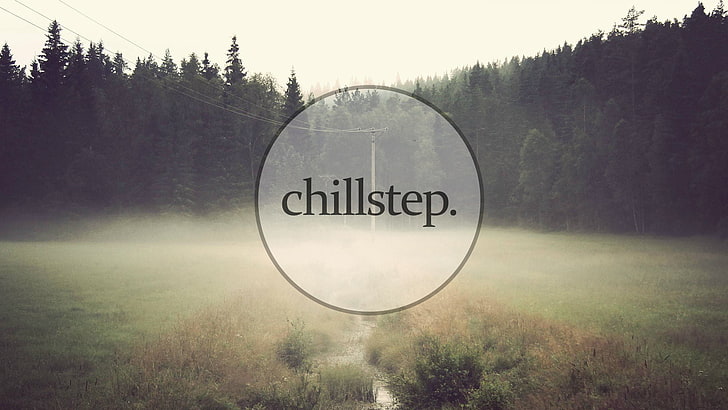 green leafed trees with chillstep text overlay, mist, Tatof, music