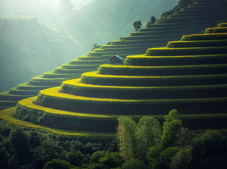 Beautiful Asian Landscape, rice terraces, Thailand, Travel, Nature, HD wallpaper