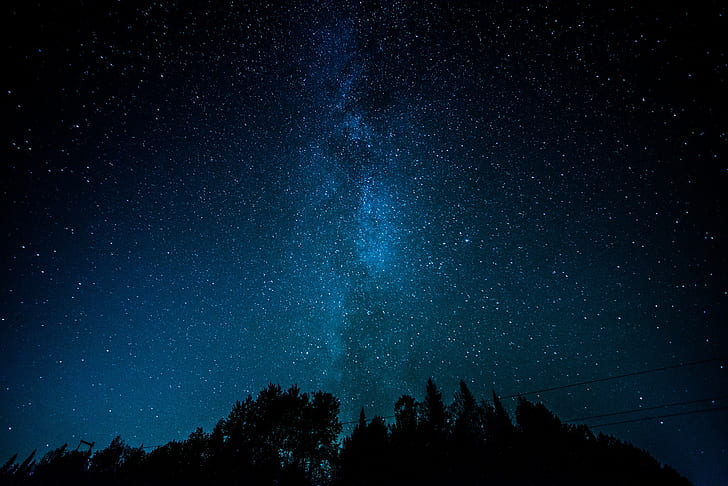 stars, landscape, trees, silhouette, Milky Way, blue, night, HD wallpaper