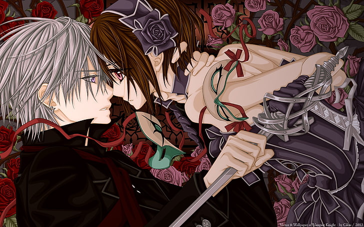 Vampire Knight, indoors, high angle view, lifestyles, real people
