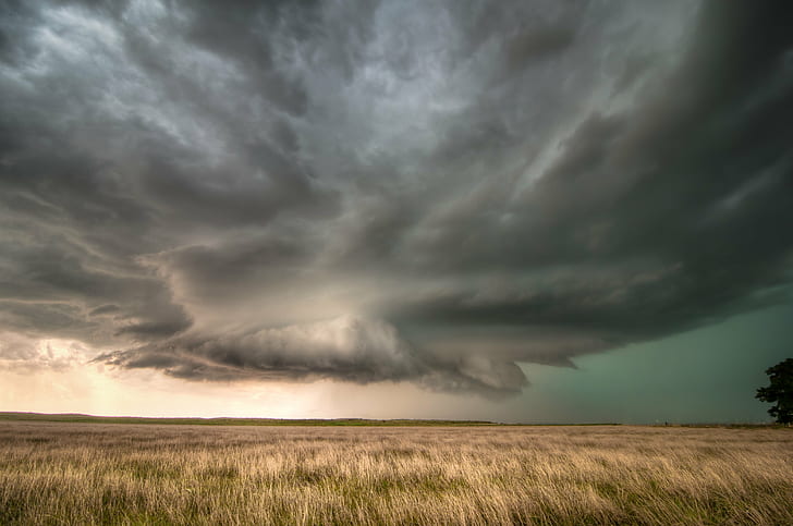 dark clouds over grasses, Business, End, Supercell Thunderstorm