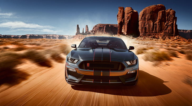 Mustang Shelby GT350 1080P, 2K, 4K, 5K HD wallpapers free download |  Wallpaper Flare