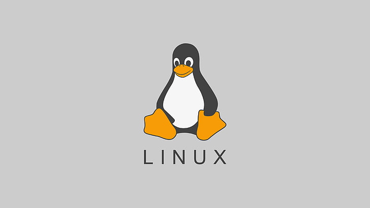 Linux, FoxyRiot, minimalism, Tux, HD wallpaper