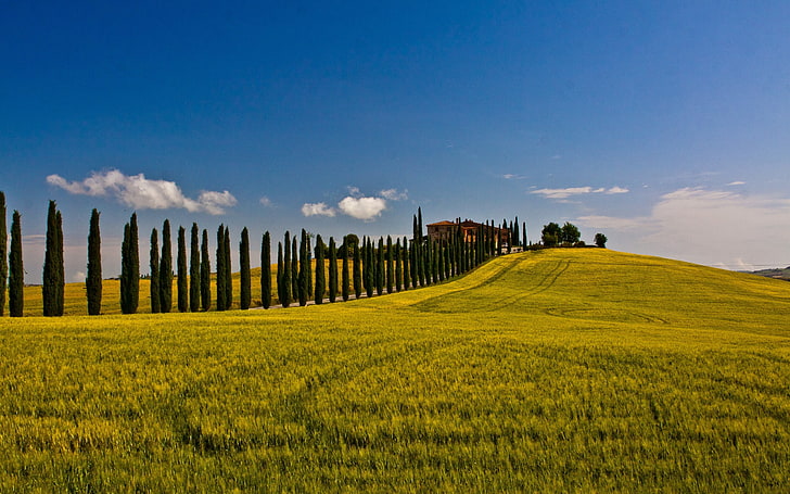 landscapes nature fields italy siena toscana val dorcia cipressi 2560x1600  Nature Fields HD Art, HD wallpaper