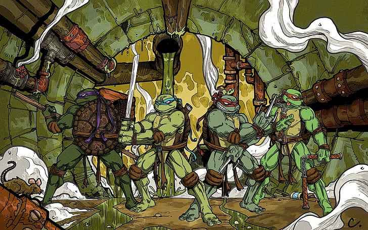 Teenage Mutant Ninja Turtles Leonardo Raphael Michelangelo Donatello Cartoon, HD wallpaper