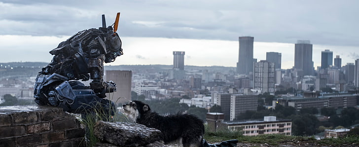Chappie, The robot named Chappy, I am wonder, I am discovery