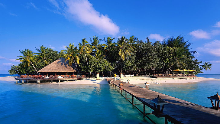 brown wooden dock, landscape, Maldives, palm trees, pier, sea
