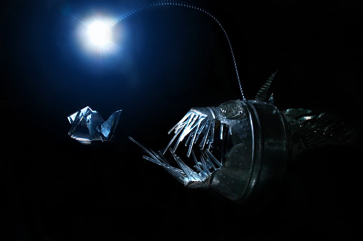 silver steel fish illustration, Anglerfish, deep sea, creature, HD wallpaper