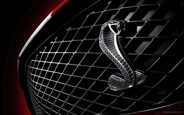 Amazon.com: OnlyYou.X Red Cobra Snake Emblem Cobra Snake Badge Compatible  with Fender 2 Pieces Metal Chrome : Automotive
