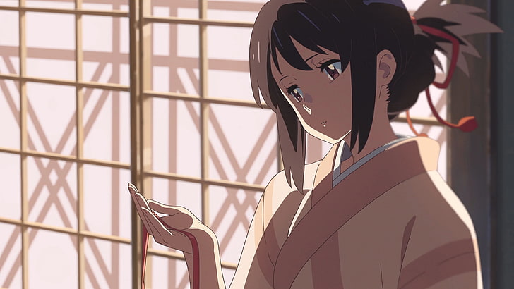 Makoto Shinkai, Kimi no Na Wa, one person, real people, indoors, HD wallpaper