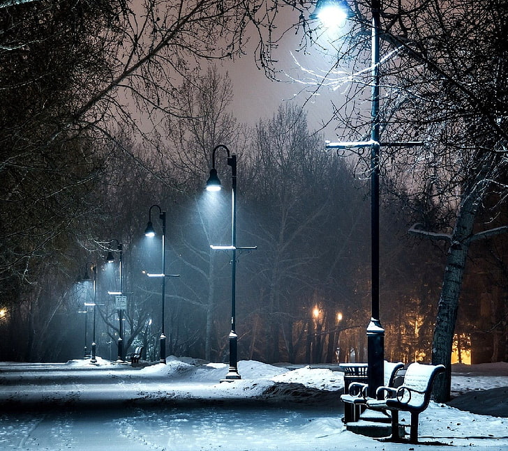 black and white concrete building, park, lantern, winter, night