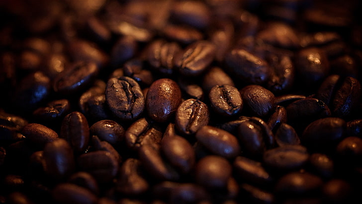 coffee beans, food and drink, roasted coffee bean, coffee - drink, HD wallpaper