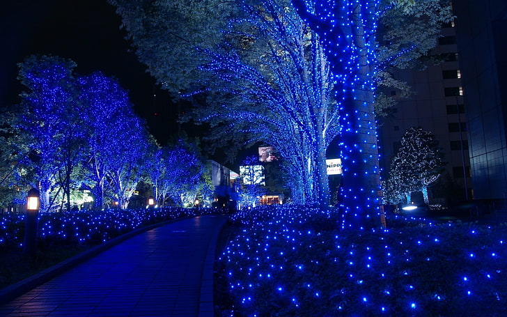 blue LED garden light, city, cityscape, lights, illuminated, tree, HD wallpaper