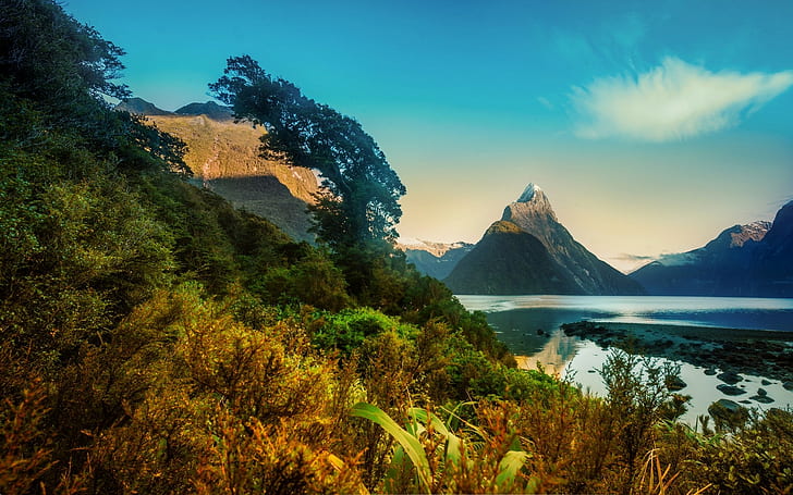 nature, landscape, morning, mountains, fjord, snowy peak, Milford Sound
