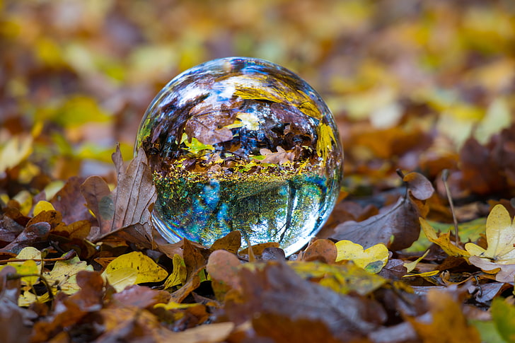 clear glass ball, sphere, fall, foliage, nature, planet - Space, HD wallpaper