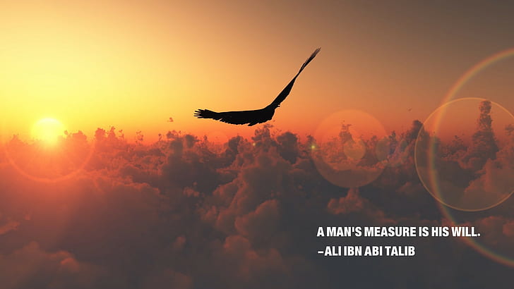 eagle, Ali ibn Abi Talib, quote, Islam, nature, Imam, sunset, HD wallpaper