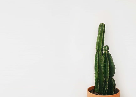Featured image of post Minimalist Succulent Desktop Wallpaper - Tons of awesome minimalist wallpapers to download for free.