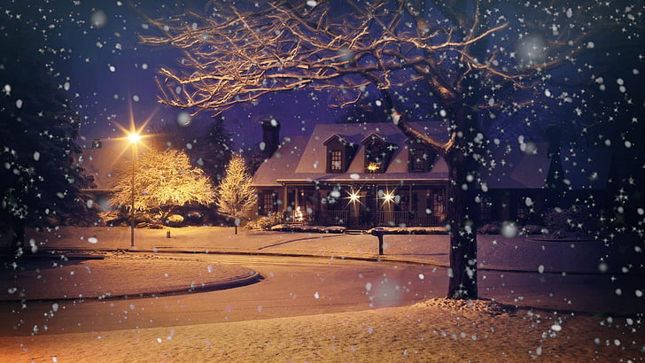 Beautiful christmas home house light, night, illuminated, tree, HD wallpaper