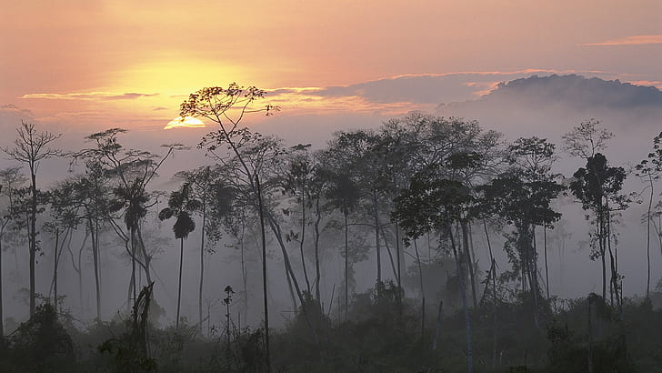Peru, rainforest, sunset, sunrise, mist, Amazon, HD wallpaper