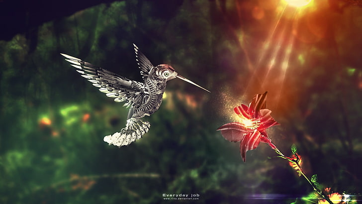 animals, hummingbirds, digital art, flowers, sunlight, flying