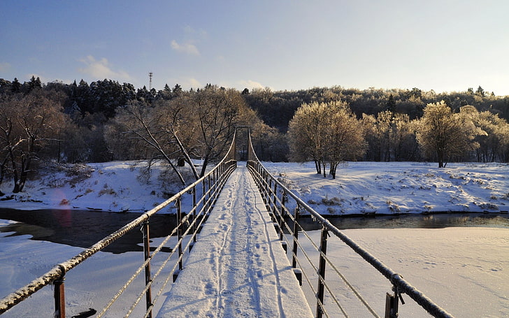white and brown bridge, nature, landscape, snow, trees, river