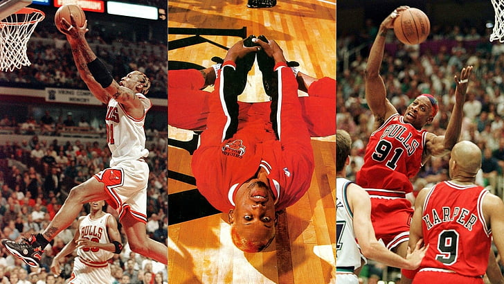Basketball, Chicago Bulls, Dennis Rodman, group of people, sport, HD wallpaper