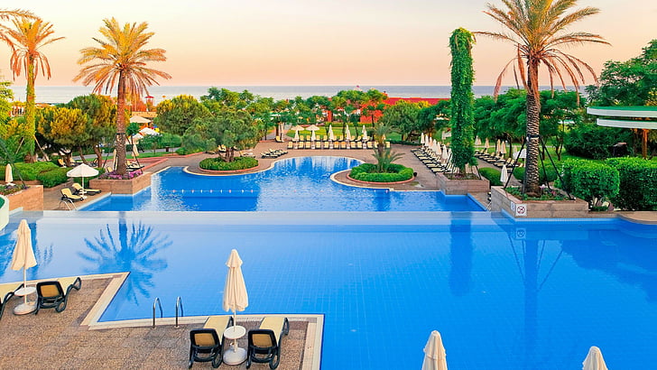 resort, leisure, swimming pool, palm tree, vacation, water, HD wallpaper