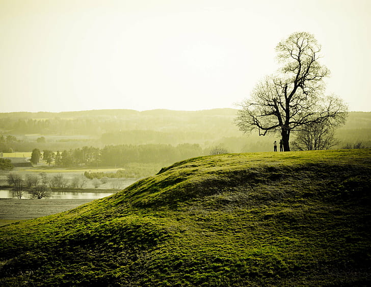 photo of green grass field, the Lonely Tree, kernave, lithuania
