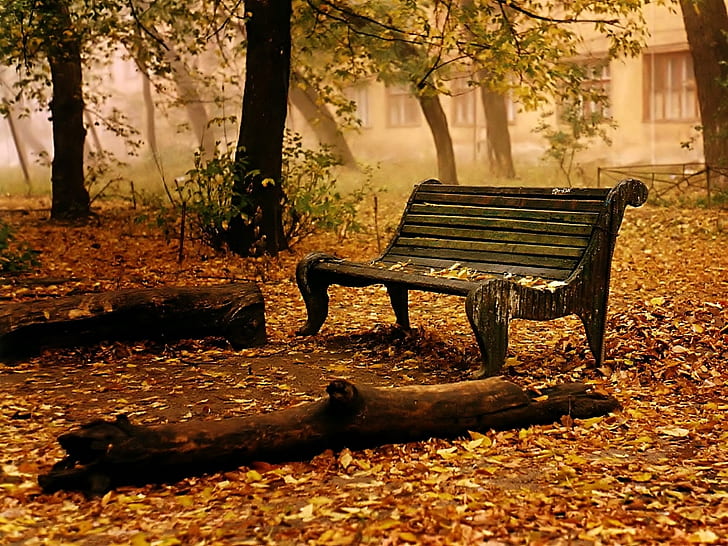 HD wallpaper: old bench in the park autumn leaves Trees HD, nature |  Wallpaper Flare