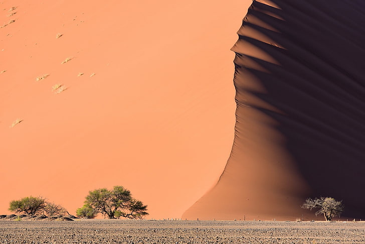 desert, sand, dune, land, beauty in nature, scenics - nature, HD wallpaper
