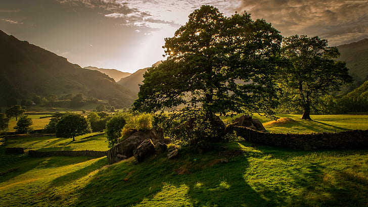 4k, trees, sunset, hills, Ireland, 5k, meadows, HD wallpaper