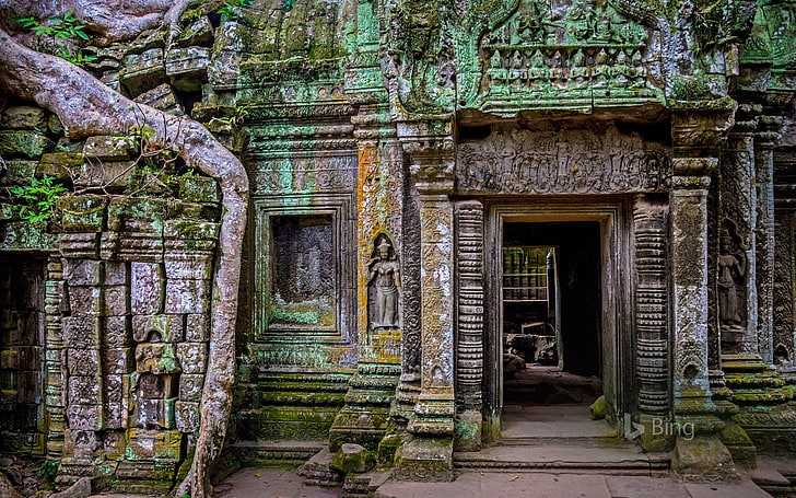Cambodia Ta Prohm temple at Angkor 2017 Bing Wallp.., built structure, HD wallpaper