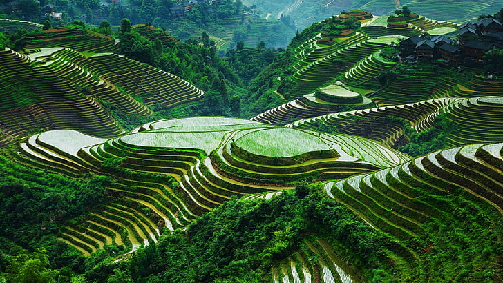 beautiful, china, guangxi, landscape, longsheng-rice, terraces, HD wallpaper