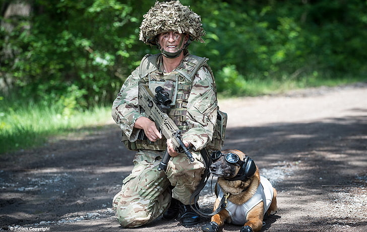 dog, army, soldiers, one person, camouflage clothing, day, focus on foreground