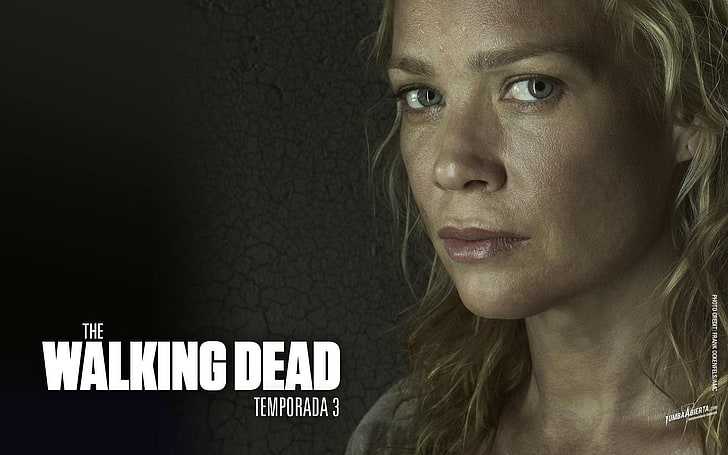 HD wallpaper: TV Show, The Walking Dead, Andrea (The Walking Dead), Laurie  Holden | Wallpaper Flare